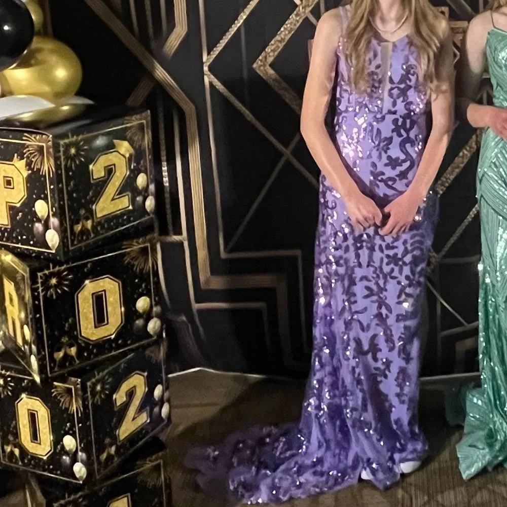 Prom Dress - size 2 - Picture 3 of 3